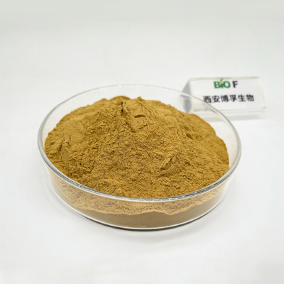 80% Silymarin Powder Food Grade Milk Thistle Extract Powder