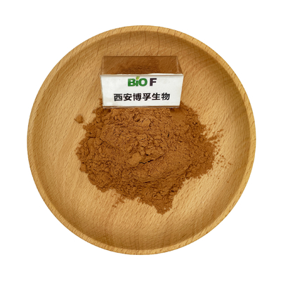 Natural Herbal Extract Organic Peganum Harmala Powder Food Grade 10% - 98%