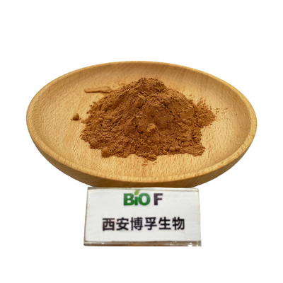 BIOF Burdock Root / Seed Extract Powder Arctiin 4:1 10:1 For Health Food
