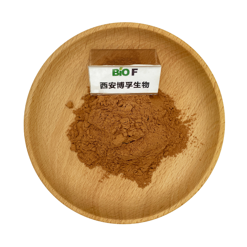 Natural Herbal Extract Organic Peganum Harmala Powder Food Grade 10% - 98%