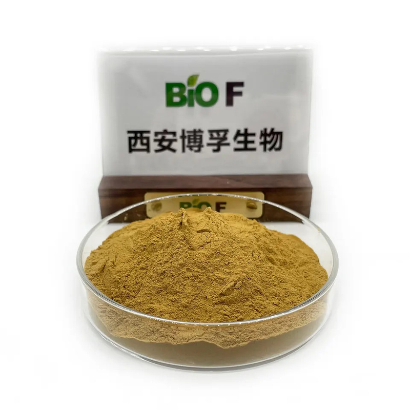 100% natural 20% 50% Hydroxytyrosol Powder cas 600-704-3 Cosmetic Grade