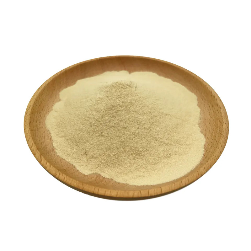 Wholesale Bulk Food Grade High Purity Xanthan Gum CAS 11138-66-2 Best Quality