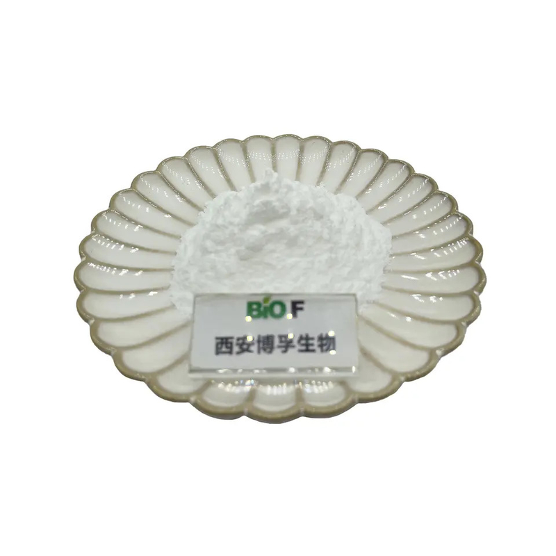 Wholesale Price Supply High Quality MCT C8 Powder Medium Chain Triglycerides Best Price